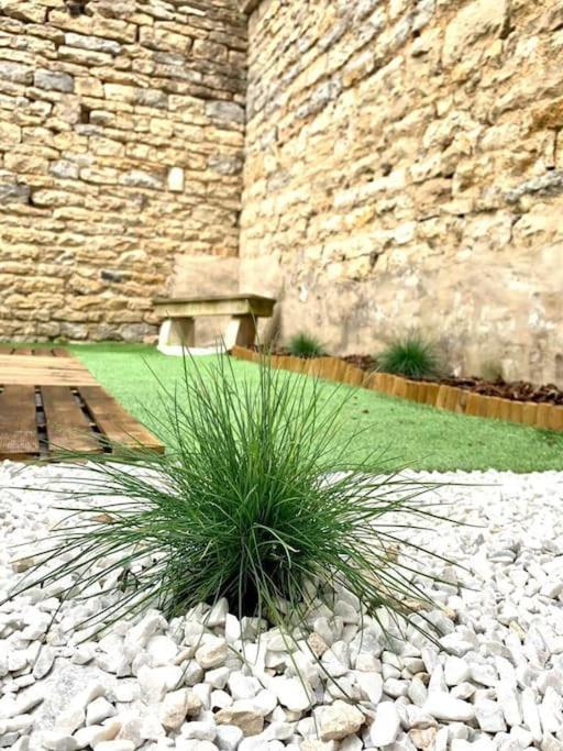 L'Eden, Apt 4 Prs Avec Jardin En Centre Ville Dijon Extérieur photo